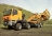 03_TATRA PHOENIX_tree spade truck.jpg