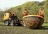 04_TATRA PHOENIX_tree spade truck.jpg